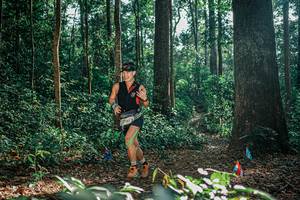 BIB: 
                            <button type="button" onclick="openModal(26070390)" class="btn btn-primary btn-sm float-right btn-popup" data-toggle="modal" data-target=".modal-high-quality">
                        <i class="fas fa-shopping-cart"></i> Add to Cart
                    </button>
                                            <button type="button" onclick="isThisMe(26070390, true)" class="btn btn-success btn-sm float-right btn-popup btn-isme hidden" data-toggle="tooltip" data-placement="bottom" title="นี่คือรูปของคุณใช่ไหม คลิกที่นี่เพื่อเอาเข้าอัลบั้ม">
                        <i class="fas fa-plus"></i> Add to album
                    </button>
                    <button type="button" onclick="isThisMe(26070390, false)" class="btn btn-warning btn-sm float-right btn-popup btn-isnotme hidden">
                        <i class="fas fa-ban"></i> Remove from album
                    </button>